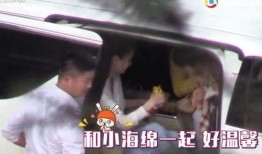 小海绵最新爆料辟谣大全,揭秘网络传闻背后的真相